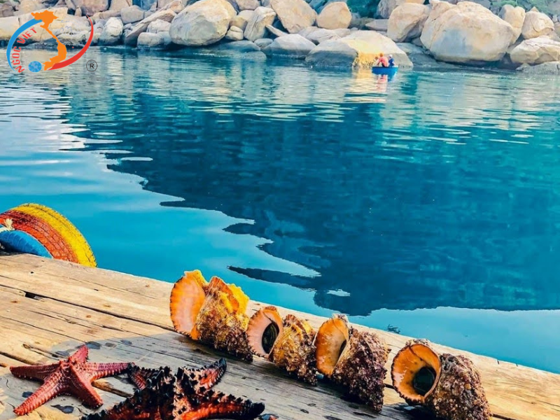 TOUR CAM RANH - ĐẢO BÌNH BA (TÔM HÙM 1 KHÁCH 1 CON)