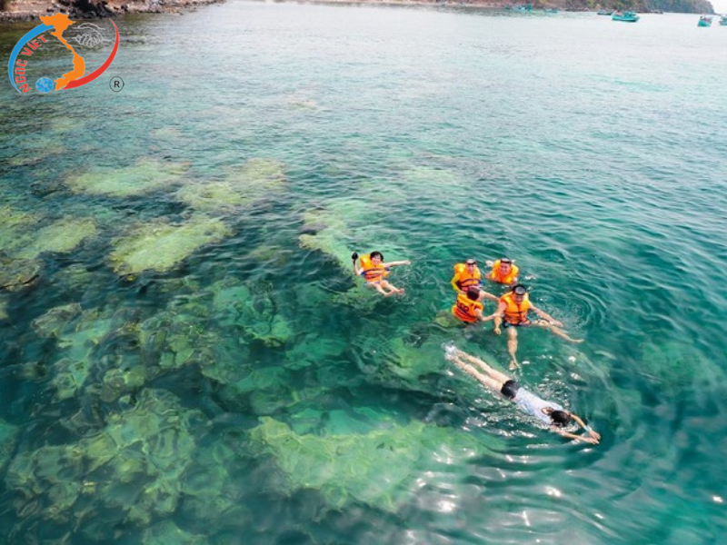 TOUR CAM RANH - ĐẢO BÌNH BA (TÔM HÙM 1 KHÁCH 1 CON)
