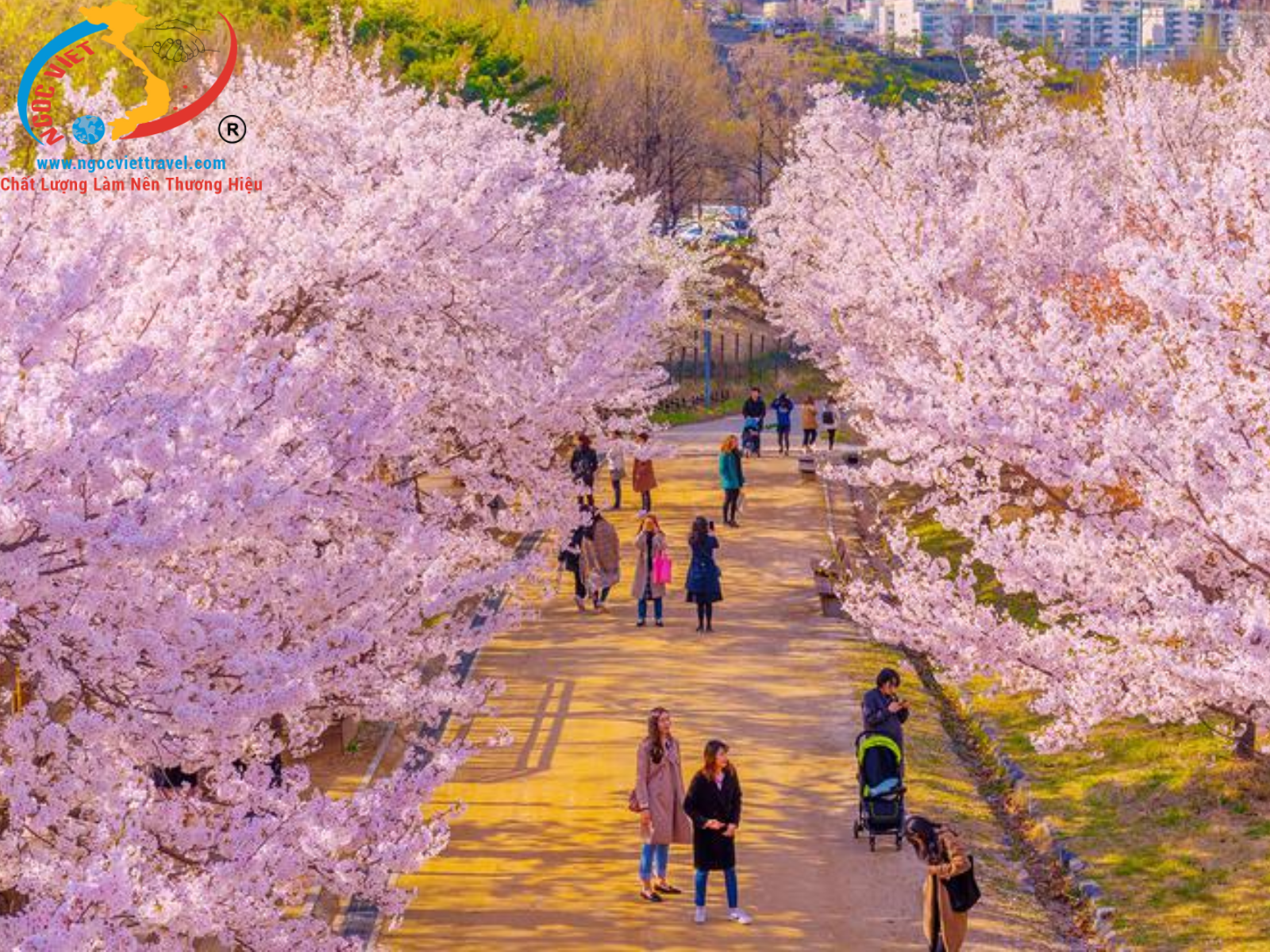 SEOUL - TRƯỢT TUYẾT ELYSIAN - SHOW PAINTER - 5N4Đ - TẾT 2024