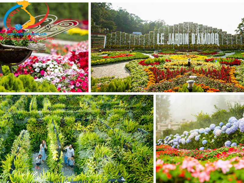 TOUR COMBO-05 ĐÀ NẴNG - SƠN TRÀ – NGŨ HÀNH SƠN – HỘI AN – BÀ NÀ – CÙ LAO CHÀM - 4N3Đ - TẾT 2024