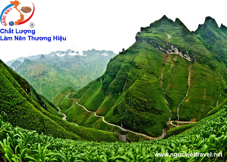 TOUR HÀ GIANG - MÙA HOA TAM GIÁC MẠCH 4 Ngày 3 Đêm