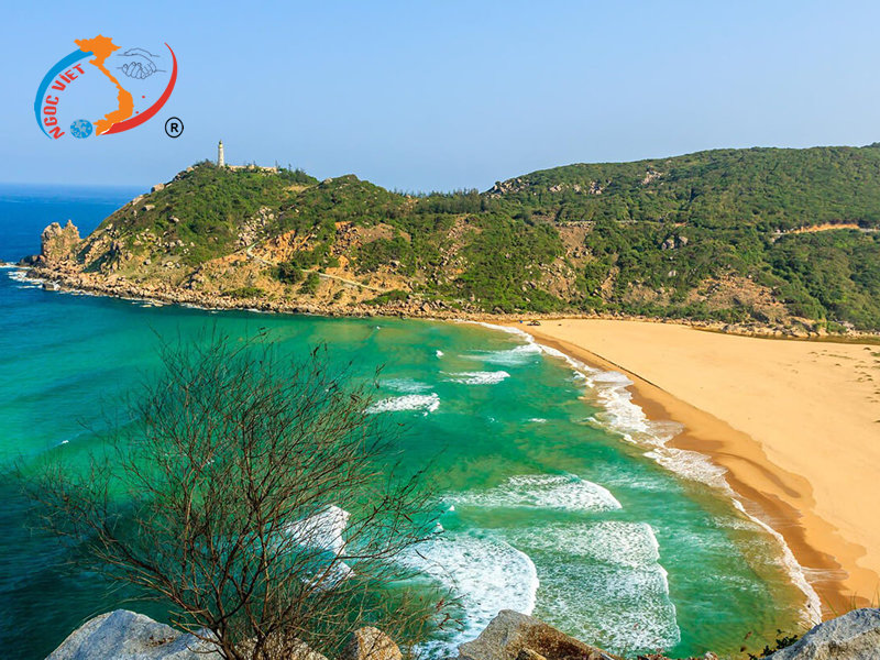 TOUR PHU YEN - DA DIA REEF - VUNG RO BAY - 3 DAYS 3 NIGHTS - BY TRAIN