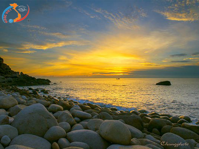 BINH HUNG ISLAND TOUR - SEAFOOD BBQ GALA PARTY ON THE RAZE (1 lobster per guest) - Check-in to the Vineyard