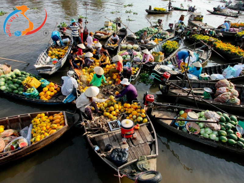 TOUR MỸ THO – CẦN THƠ - TÁT MƯƠNG BẮT CÁ 2 Ngày 1 Đêm