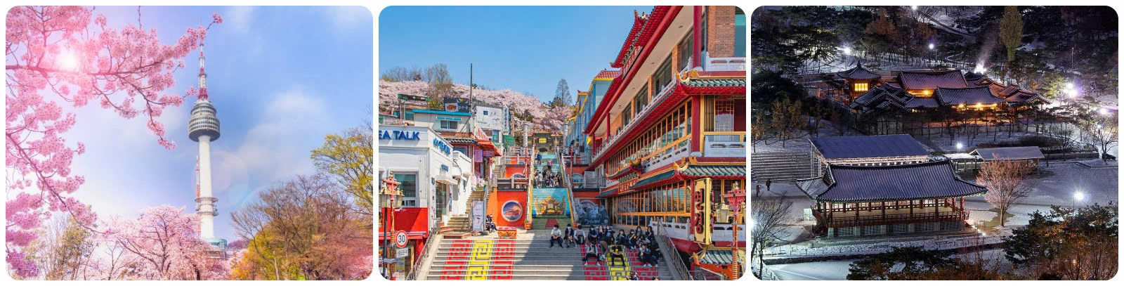 TOUR BUSAN