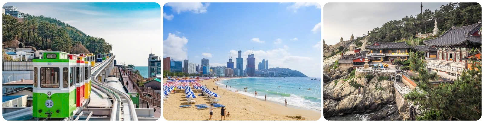 TOUR BUSAN